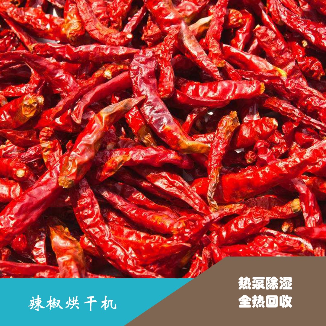 辣椒烘干